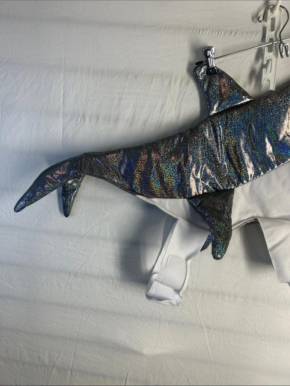 None cute shark